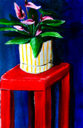 Peace lily, red table